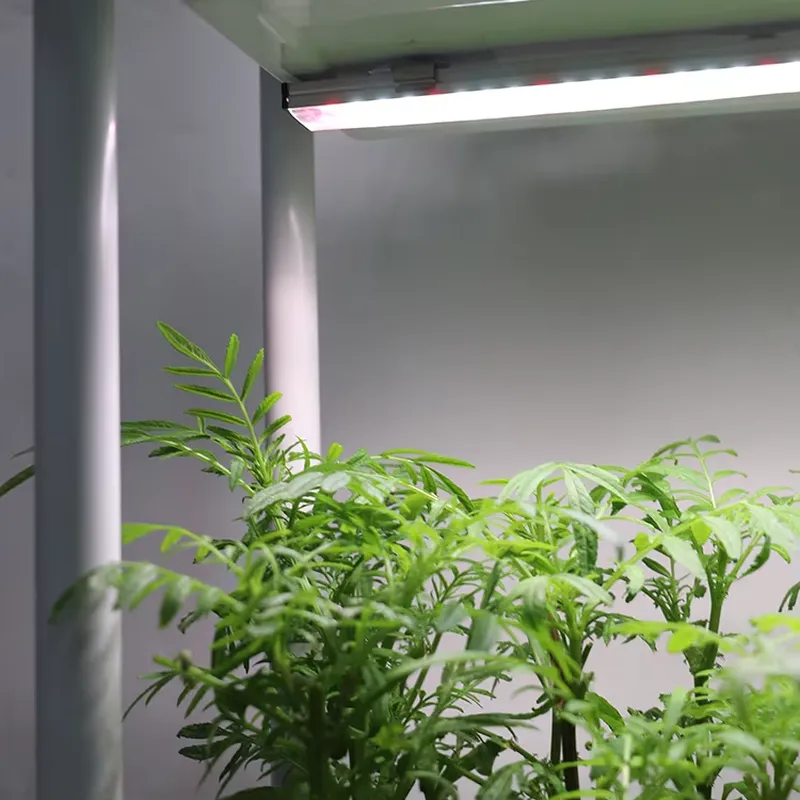Smart Garden Vertical Planter - Rak Tanaman Vertikal 3 Tingkat yang