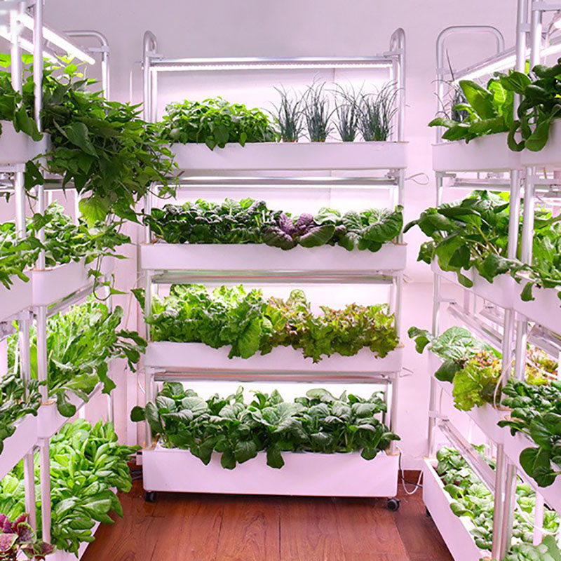 Smart Garden Vertical Planter - Sistem Tumbuh Hidroponik Vertikal Pintar Dalam