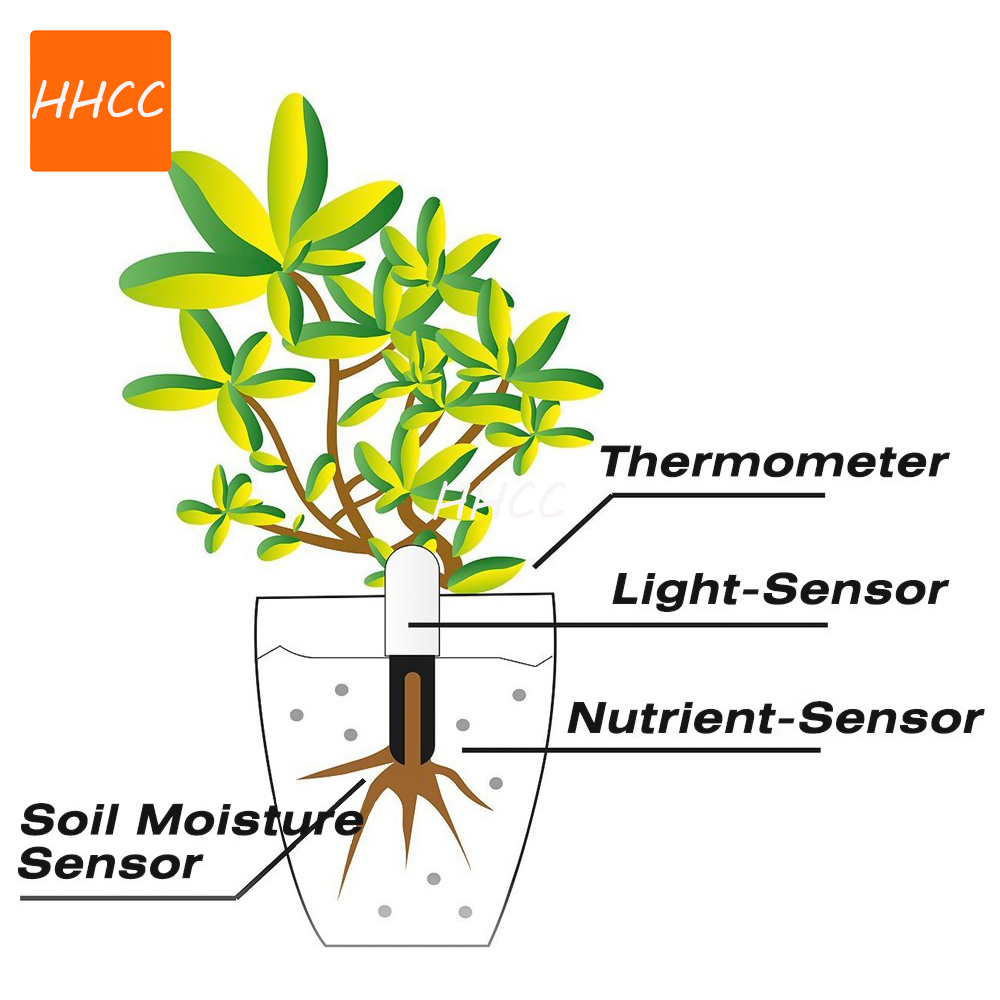 HHCC Monitor Bunga Pintar Flor - Smart Garden Xiaomi ulasan dan harga