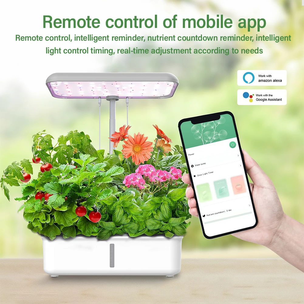 Tuya tanaman hidroponik WiFi s - Smart Garden Click And Grow ulasan dan harga