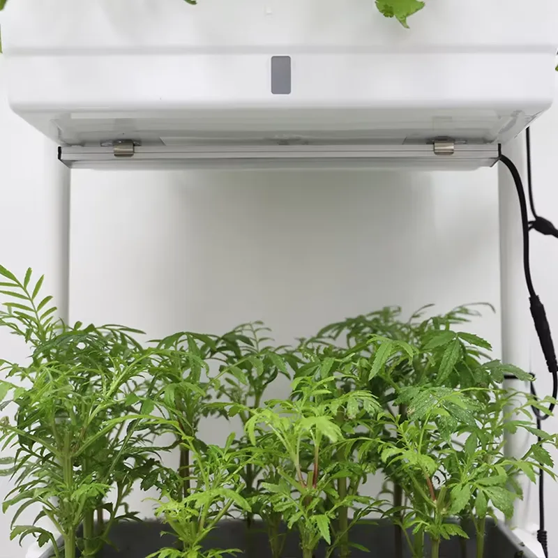Rak Tanaman Vertikal 3 Tingkat - Smart Garden Vertical Planter ulasan dan harga