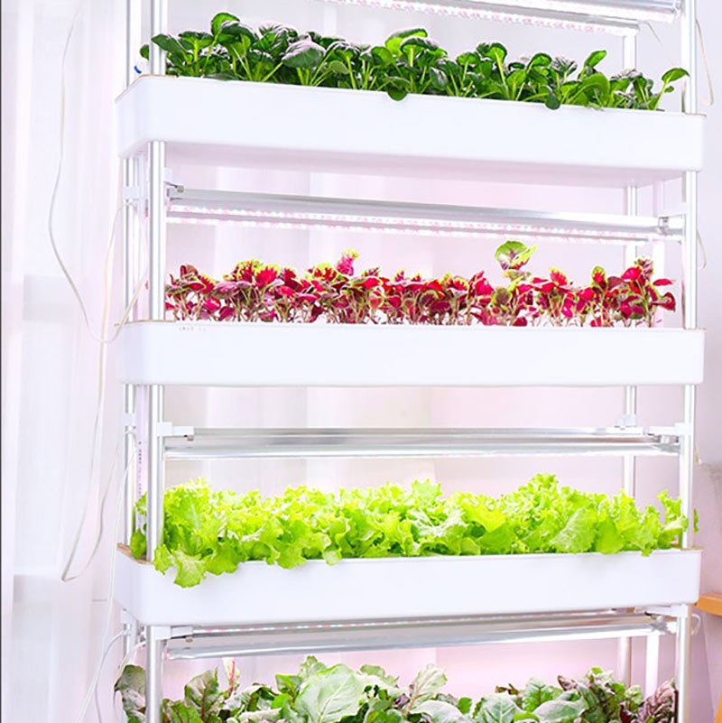 Sistem Tumbuh Hidroponik Verti - Smart Garden Vertical Planter ulasan dan harga
