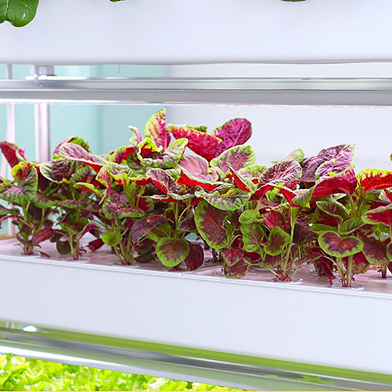 Sistem Tumbuh Hidroponik Verti - Smart Garden Vertical Planter ulasan dan harga