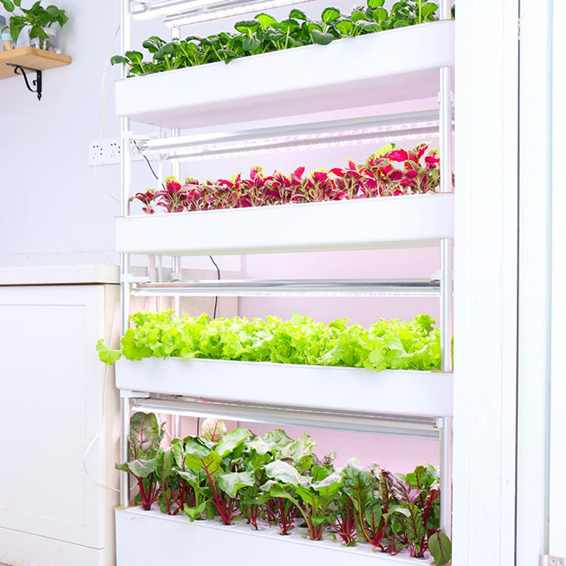 Sistem Tumbuh Hidroponik Verti - Smart Garden Vertical Planter ulasan dan harga
