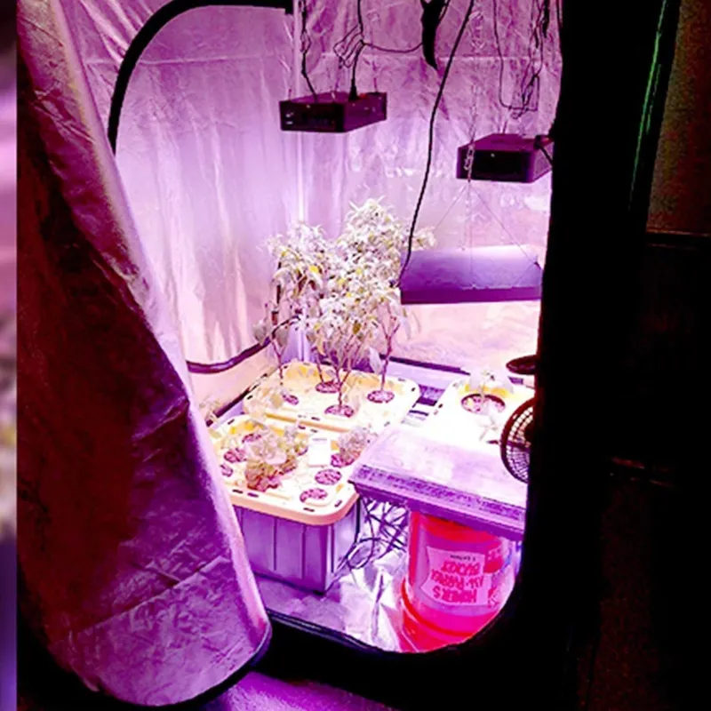 Kit Lengkap Lampu LED Grow Lig - Grow Tent Complete Kit ulasan dan harga