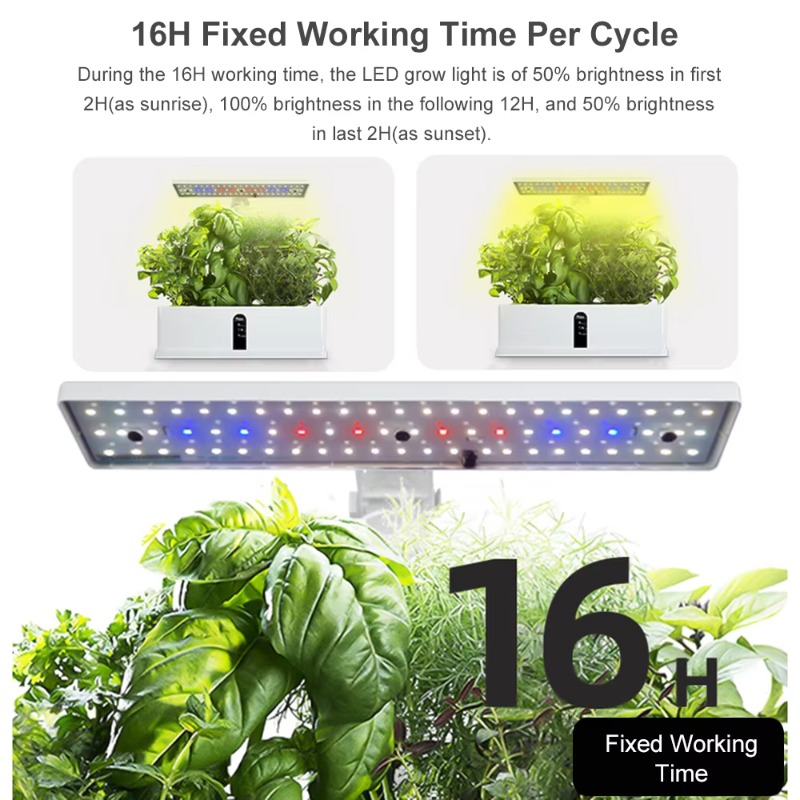 Sistem Penanaman Hidroponik Pi - Smart Garden Lighting System ulasan dan harga