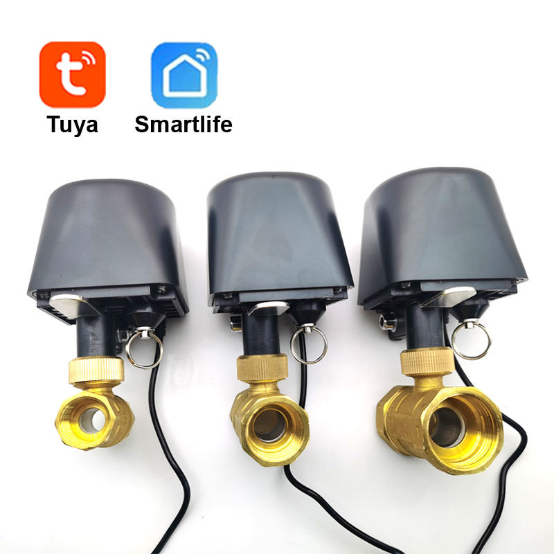 Tuya WiFi atau Zigbee Katup Ai - Smart Garden Water ulasan dan harga